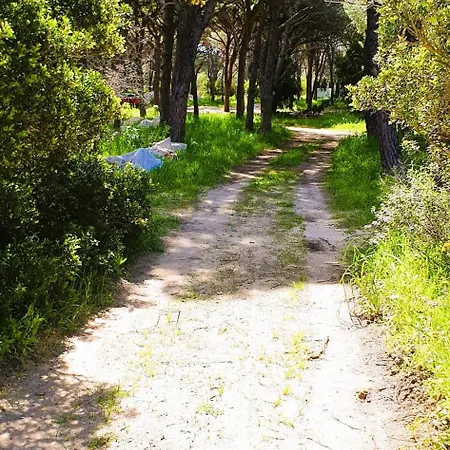 Costa Est Holiday home Santa Lucia (Sardinia)